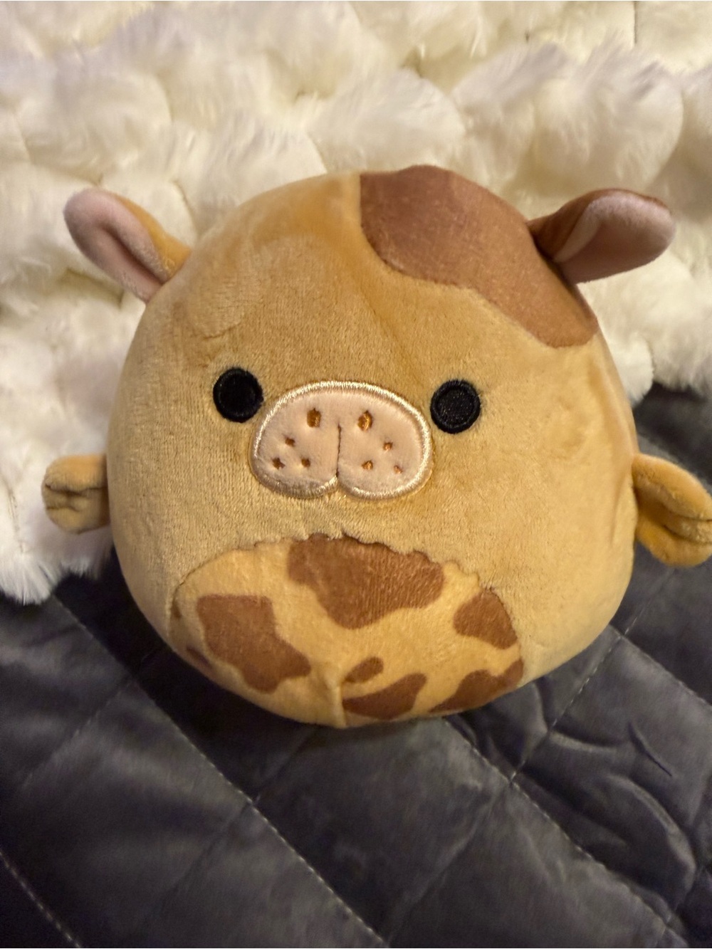 Squishmallows Cow Plush - Tan and Brown